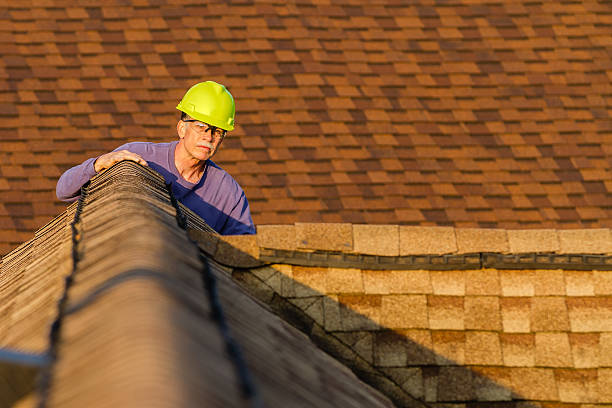 Roof Gutter Cleaning in Thunder Mountain, NM